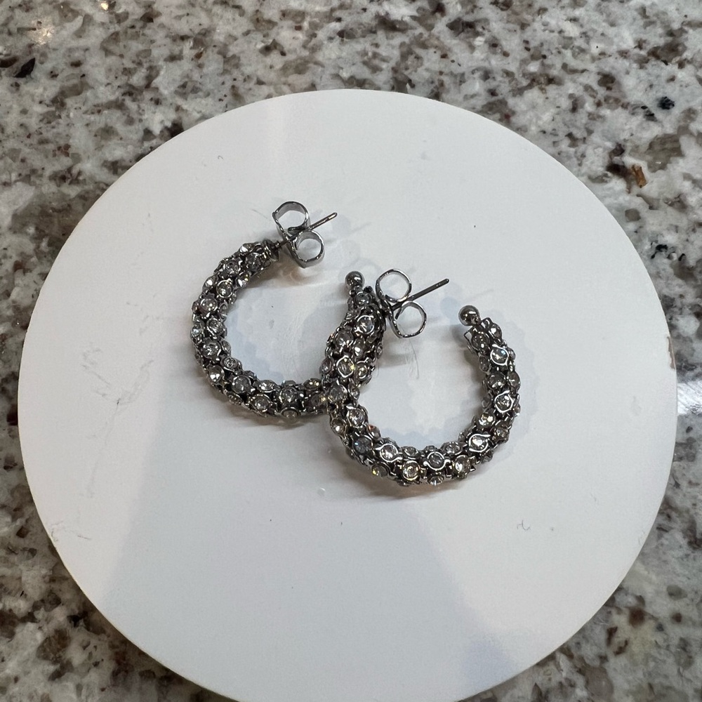 Elegant Silver Hoop Earrings